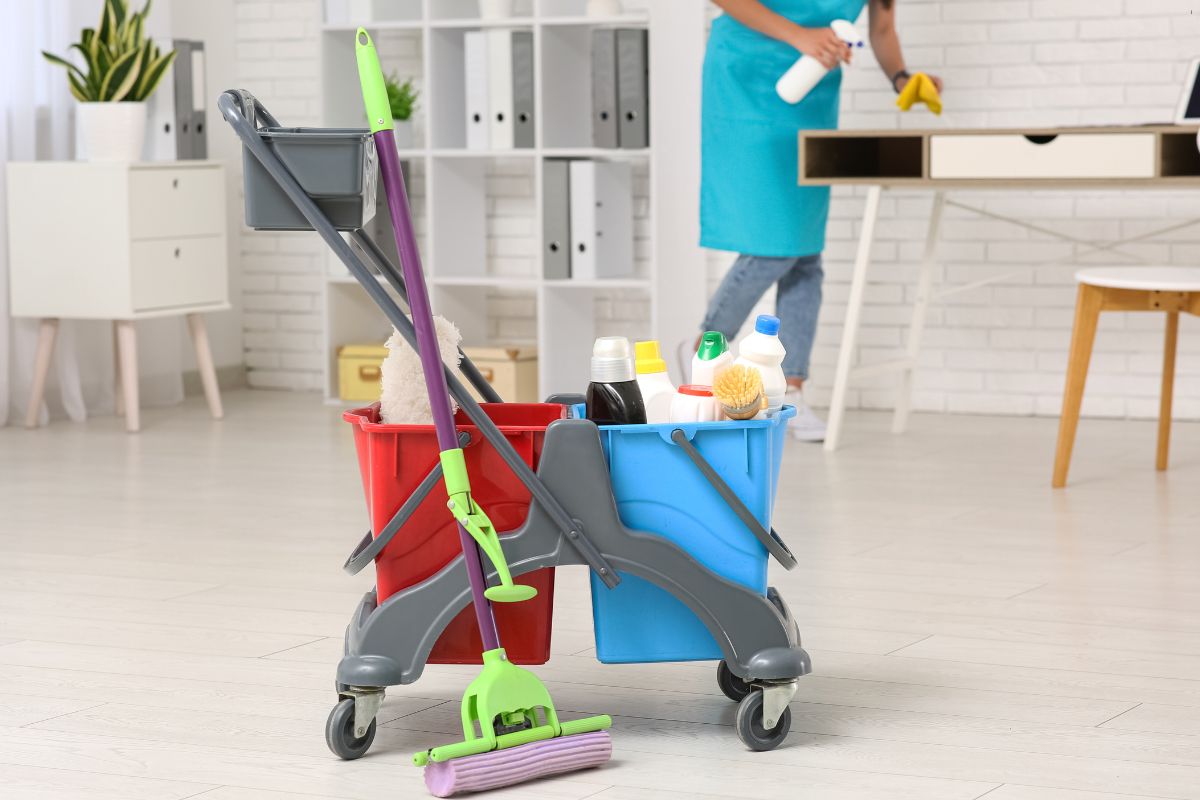 Professional cleaning services